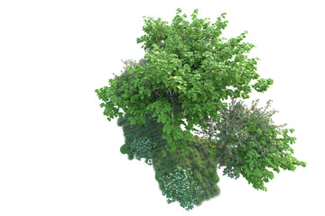 Obraz premium Green landscape isolated on transparent background. 3d rendering - illustration