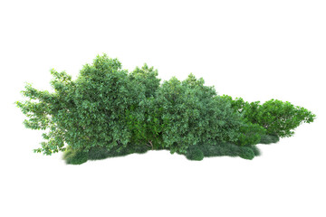 Obraz premium Green landscape isolated on transparent background. 3d rendering - illustration