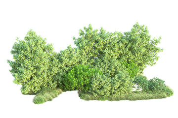 Fototapeta premium Green landscape isolated on transparent background. 3d rendering - illustration