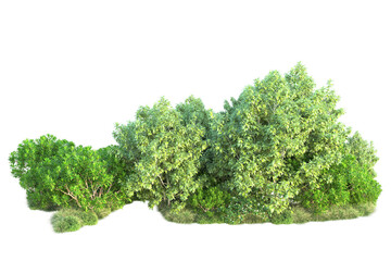 Green landscape isolated on transparent background. 3d rendering - illustration