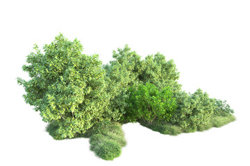 Green landscape isolated on transparent background. 3d rendering - illustration