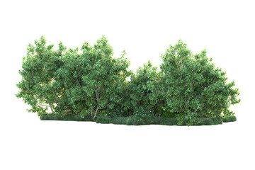 Green landscape isolated on transparent background. 3d rendering - illustration