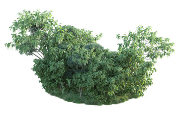 Obraz premium Green landscape isolated on transparent background. 3d rendering - illustration
