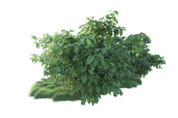 Obraz premium Green landscape isolated on transparent background. 3d rendering - illustration