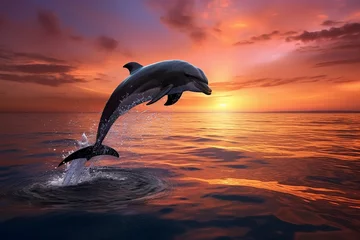 Fototapeten dolphin jumping into the sunset © Taufik