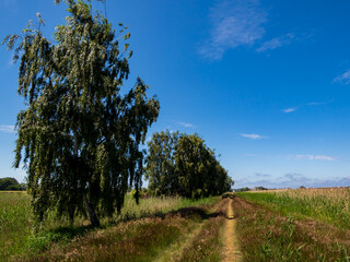 Obraz premium Poland