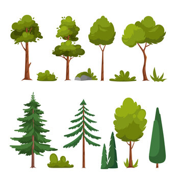 Forest tree and green bush. Vector set of vegetation bushes, garden grass and pine trees. Cartoon icon for decorate landscape park, backyard. Spring or summer plant, shrub with branches and leaves