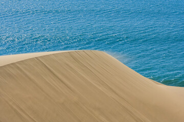 Fototapeta na wymiar Namibia, the Namib desert, landscape of yellow dunes falling into the sea 