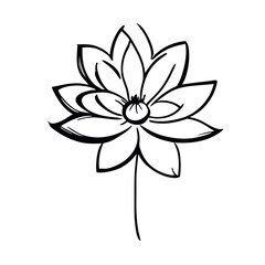 flowar vector illustration doodle line art