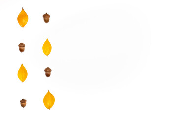 Autumn pattern with acorns and yellow autumn leaf on white background with space for text, top view