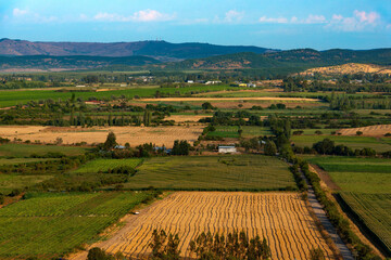 Crop fields and farms at Region del Maule in southern Chile