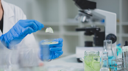 Female scientist is lifting or doing experiment of cucumber cosmetic, skincare and treatment laboratory. Concept of moisturizer, serum, gel or cream essential experiment or research. Cosmetology test.