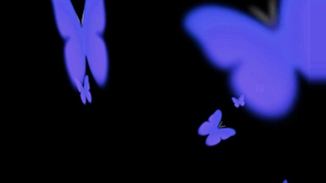 Butterfly flying effect video on black background