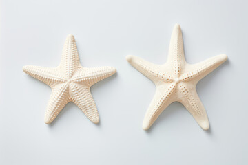 Two starfish are lying on a white background.