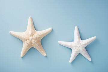 Fototapeta na wymiar Two starfish are lying on a blue background