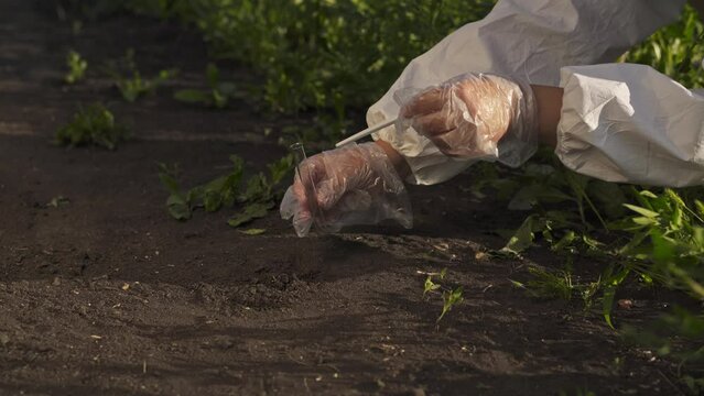 woman hands inspect the soil. soil sampling and analysis for agricultural purposes