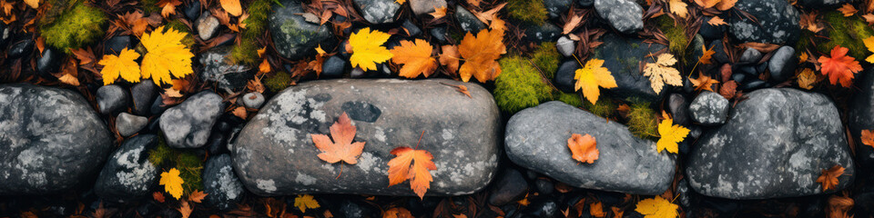 Naklejka na ściany i meble Bright fall foliage with combination of red, orange and yellow leaves lies on gray stones. Abstract natural banner.