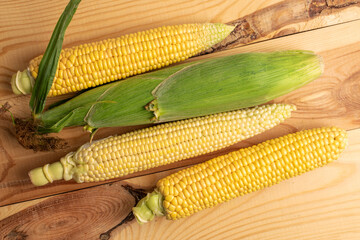 Four cobs of sweet organic corn in a metal basket, close-up, on a wooden table.