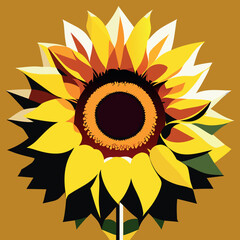 sunflower vector illustration