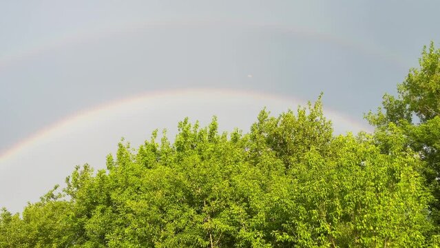 rainbow over the forest on the background of gray sky after rain