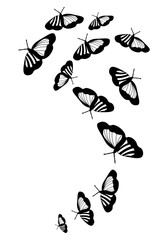 Butterfly silhouette. Clipart vector isolated on white background