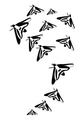 Butterfly silhouette. Clipart vector isolated on white background