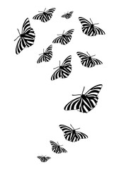 Butterfly silhouette. Clipart vector isolated on white background