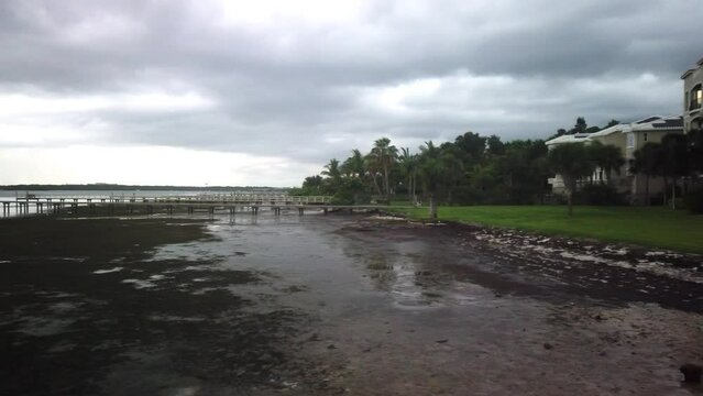 Looking north west near the fishing pier at Jungle Low Tide at Prada de Narvaez Park in St. Petersburg, FL. Sunny day wide angle view blue sky with white clouds and storm clouds.