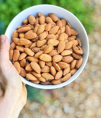 Bowl of Almonds 