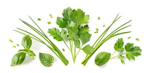Fresh organic herbs and spices element or ornament  isolated over a transparent background, arranged bunches, leaves / blades and chopped pieces of parsley, chives, basil and mint, top view, flat lay - obrazy, fototapety, plakaty