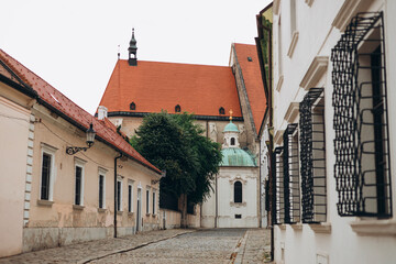 Obraz premium Katedrala sv. Martina in Bratislava in Slovakia. Concept of travel, tourism and vacation in city.