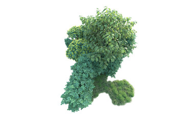 Obraz premium Green landscape isolated on transparent background. 3d rendering - illustration
