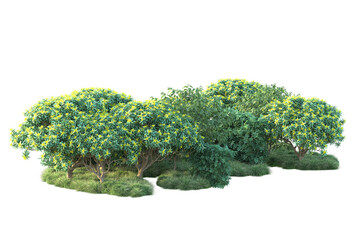 Green landscape isolated on transparent background. 3d rendering - illustration