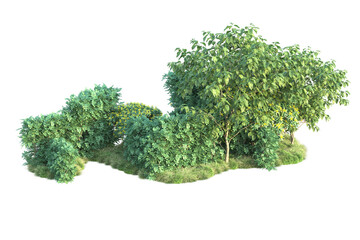 Green landscape isolated on transparent background. 3d rendering - illustration