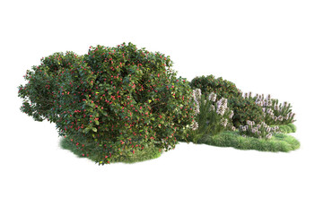 Green landscape isolated on transparent background. 3d rendering - illustration