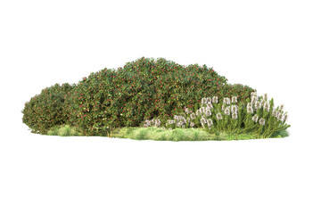 Green landscape isolated on transparent background. 3d rendering - illustration