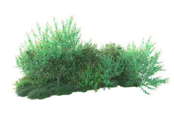 Green landscape isolated on transparent background. 3d rendering - illustration