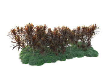 Green landscape isolated on transparent background. 3d rendering - illustration
