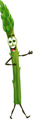 Cartoon asparagus keto diet food character. Healthy food childish mascot, natural nutrition or keto diet ripe vegetable isolated vector cheerful character or happy personage