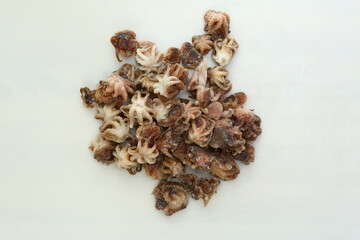 frosted baby octopus closeup photo on white background