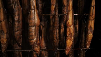 Smoked sturgeon in the smokehouse. Fish production plant.