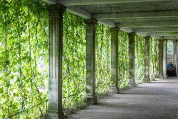 Tunnel-corridor of marble columns and green ivy in the park.