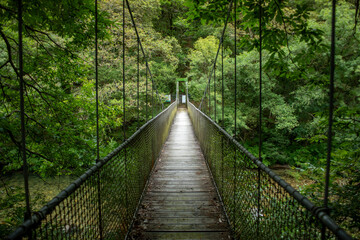 Suspension bridge over the river Eume in the natural park of the Fragas del río Eume, La Corua, Galicia, Spain