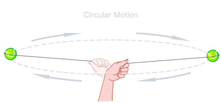 Circular motion example. When a person whirls a object (tennis ball, stone) tied by a string, the motion of the ball. Centripetal force. Physics lesson experiment. Illustration vector
