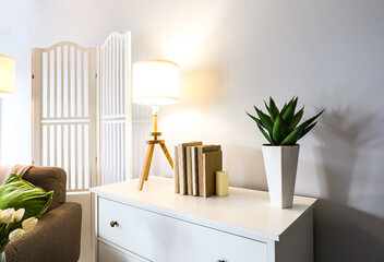Glowing lamp with books and houseplant on chest of drawers in room