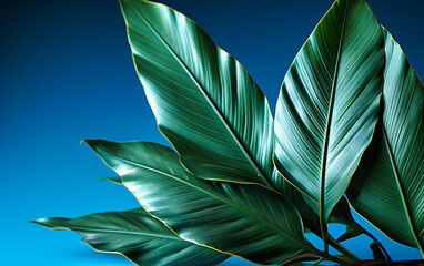 close up of two palm leaves against a blue background