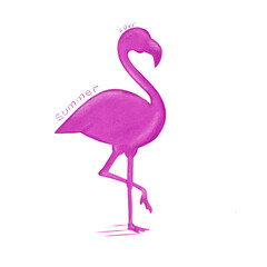 pink flamingo bird