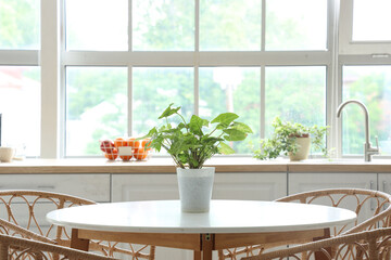 Interior of light kitchen with white counters, dining table and big window