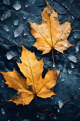 Naklejka na ściany i meble Season of Rain and Leaves: Autumn's Arrival in Nature, Generative AI