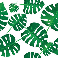 Background seamless pattern of green monstera leaves. For packing or pattern for fabric - 630104825